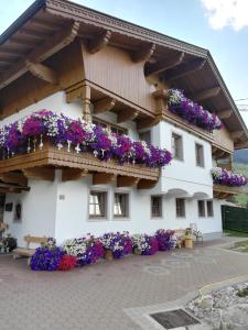 Apartement Haus Anna Tux Austria