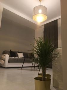 Casa vacanze Circle House Santa Filomena