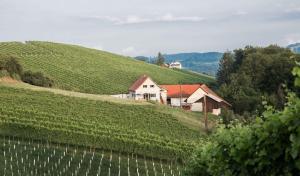 Schwalbennest Pongratz