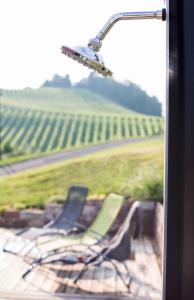 Schwalbennest Pongratz