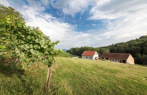 obrázek - Schwalbennest Pongratz