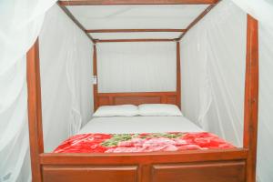 Coconut Hill Homestay