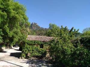 Casas Rurales Picos Del Oso