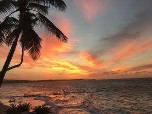 Amazing Ocean Front Condo in Cabarete, The Kiteboarding Capital of the Caribbean