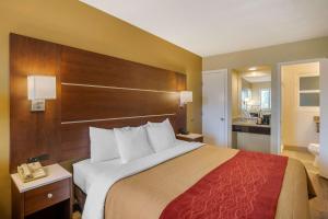 Standard Room, 1 King Bed, Non Smoking room in Comfort Inn San Diego Airport At The Harbor