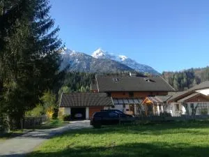 桑尼豪斯公寓酒店 - Sittmoos