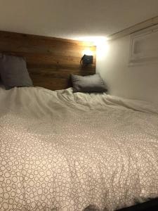 Alpe dHuez Le Majestic 2 skis aux pied