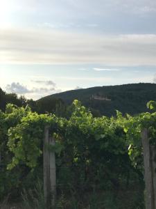 Ferienwohnung Wanderlust