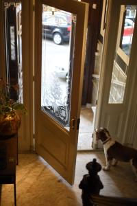 City B&B Villa Nicola