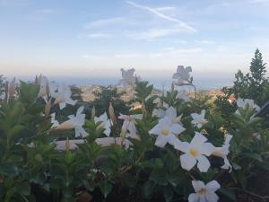 Agriturismo SantAnna