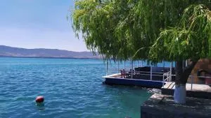 EDEM SEVAN - Nor Bashgyukh