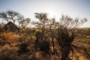 Klaserie Private Nature Reserve Limpopo Kruger National Park, 1380, South Africa.