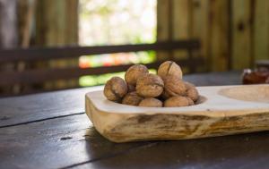 Pensiunea La Despani