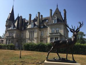 Appartements Napoleon Chateau Luxuryapartment for 18 guests with Pool near Paris! : Appartement en Duplex