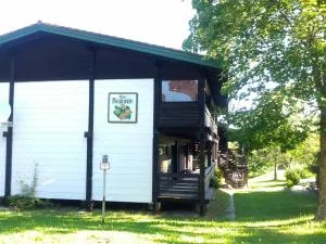 Begonie - Waging am See