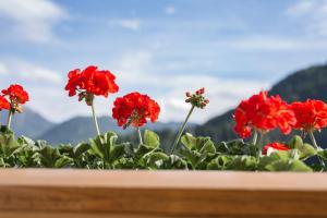 Elisabeth Serfaus inkl der SUPER SOMMER CARD im SOMMER 2026