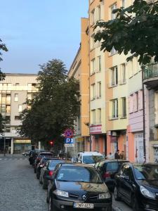 Apartament Grochowy - Poznań Stare Miasto