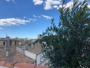 Appartements Appartement avec terrasse panoramique au coeur de Nimes : photos des chambres