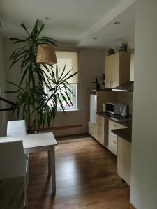 Jaukus butas Šiaulių miesto centre