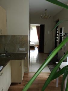 Jaukus butas Šiaulių miesto centre