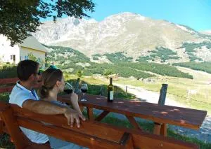 Family Farm Apartments - Virak