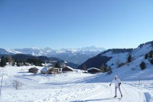 Studio au pied des pistes- Le Praz de Lys