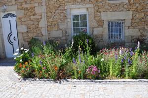 B&B / Chambres d'hotes Clos San Gianni : photos des chambres