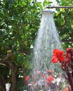 Paschali apartment with 2 bedrooms in Ammoudia