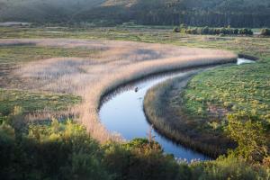 Rietvlie Road, Plettenberg Bay, Garden Route, South Africa.