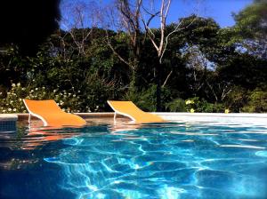 Tree of Life Cabinas