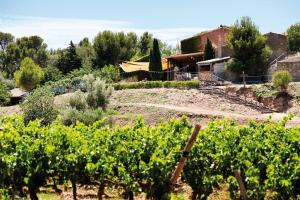 B&B / Chambres d'hotes Chateau le Bouis : photos des chambres