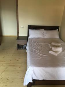 Mtskheta Wellpoint Arsukidze 48