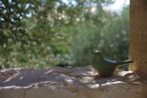 B&B / Chambres d'hotes UZES DECOUVERTES : photos des chambres