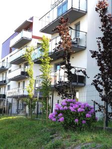 Apartament Bursztyn