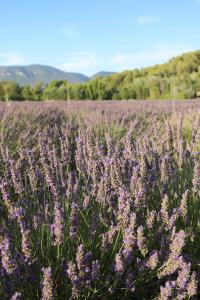 Campings Camping le Colorado : photos des chambres