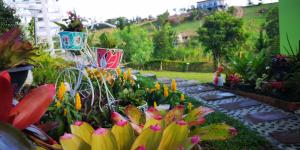 บ้านปลายฝัน Baanplaifun