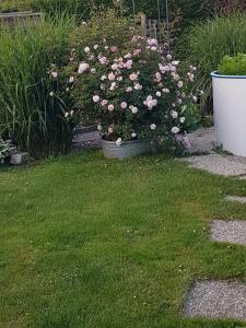 Ferienwohnung am Thayatalradweg