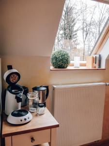 Single Room room in Privatzimmer Bellevue