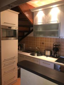 Danube duplex apartment