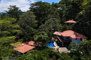 Casa del Toucan, Dominical