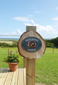 Lillys Lodges Orkney Hedgehog Lodge