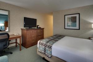 One-Queen Room room in GreenTree Hotel - Houston Hobby Airport