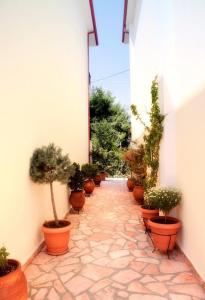 Avra Apartments
