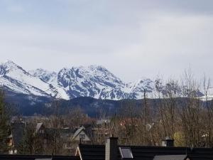 Villa Teddy Zakopane Murzasichle-Tatras Mountains Entire house to yourself in a quiet neighborhood