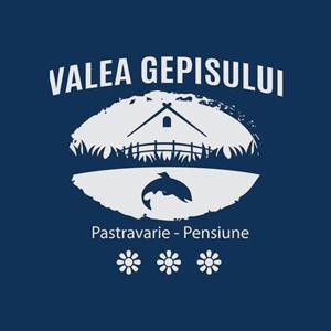 Pensiunea Valea Gepisului