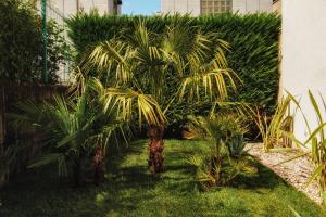 Le Palme City Rooms & Breakfast