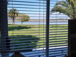 Kingfisher by the river - self catering