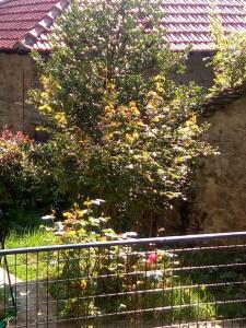 To Patriko Tou Saranti Epirus Greece