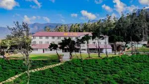 Tea and Experience Factory - Thema Collection - Galuke