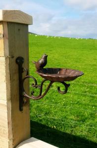 Lillys Lodges Orkney Hedgehog Lodge
